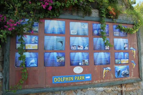 Dolphinarium in Marmaris
