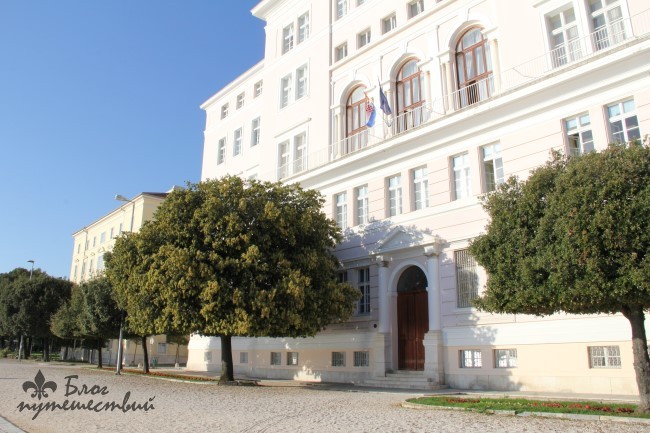 Zadarskiy universitet 