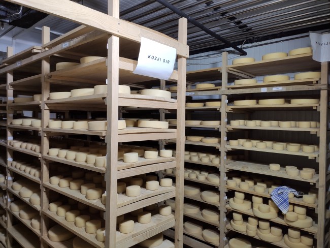 proizvodstva syra i na ferme